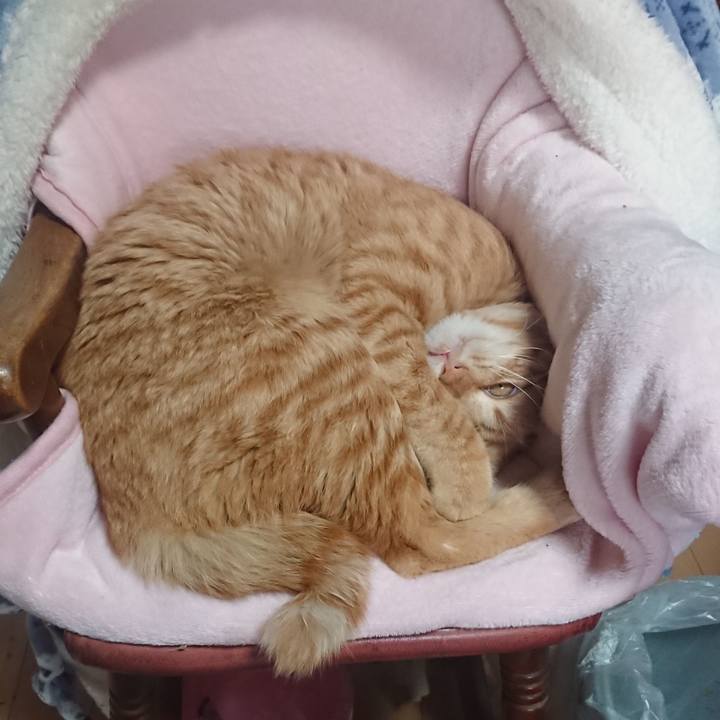 E98bd882 c24b 487e 98ae 6f9c59092efa 1651323486352