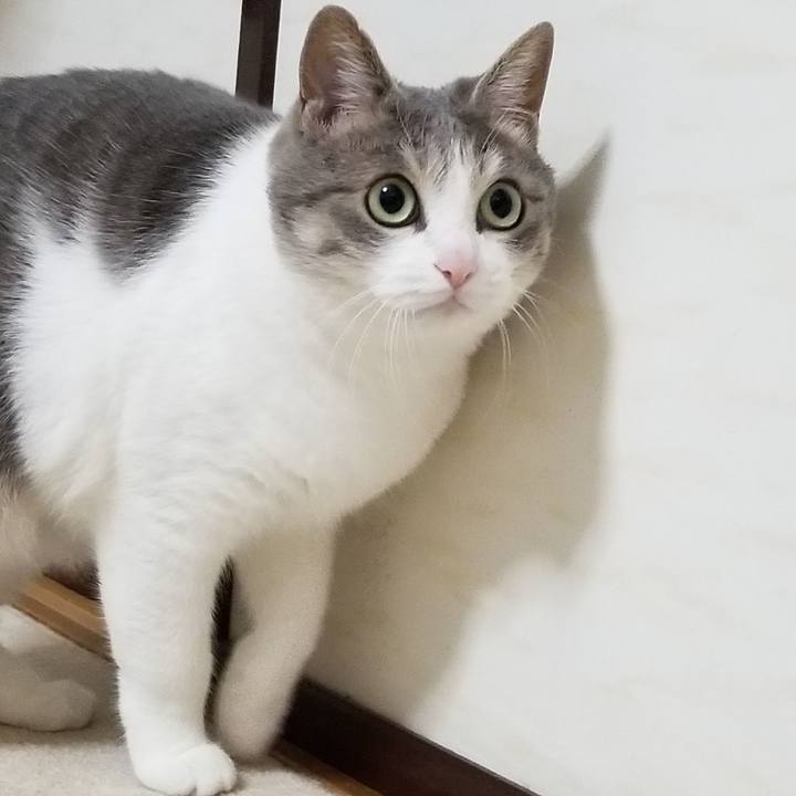 E98bdbca 952d 4f67 8626 5a45c756382c 1527946046268