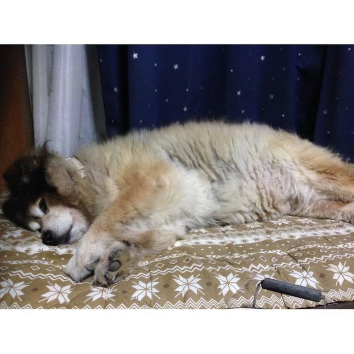 E98bee72 1581 4e0c add3 72b81b013b14 1644736858116