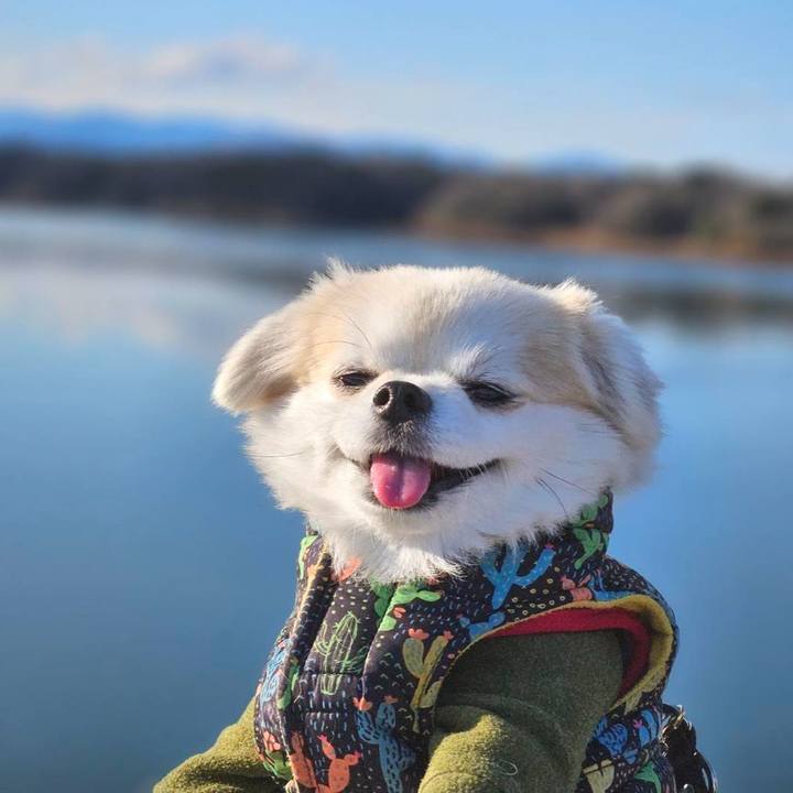 E98c1d0f 50ea 4e81 ac8b cfc1e3dfe810 1767368867065