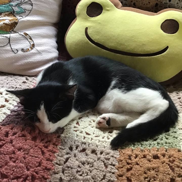 E98c7a18 6846 435b bb95 7496cc2fa6f1 1626668751939