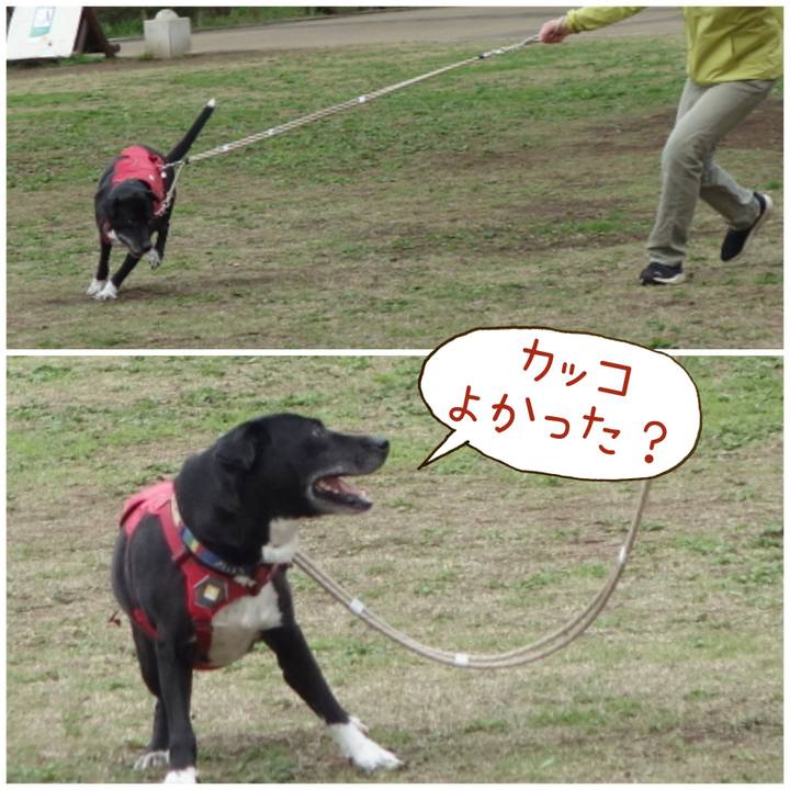 E98c8699 318d 4159 a1e6 89dd457ca291 1680486091527