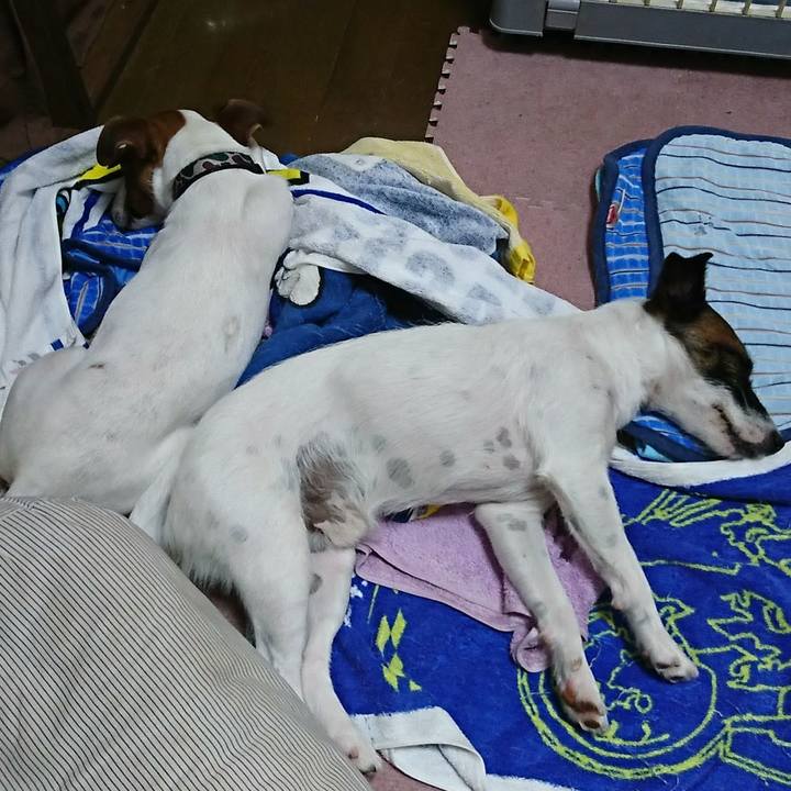 E98c91ee 7b1a 41bc 964d eaeaf5423c62 1532145804989