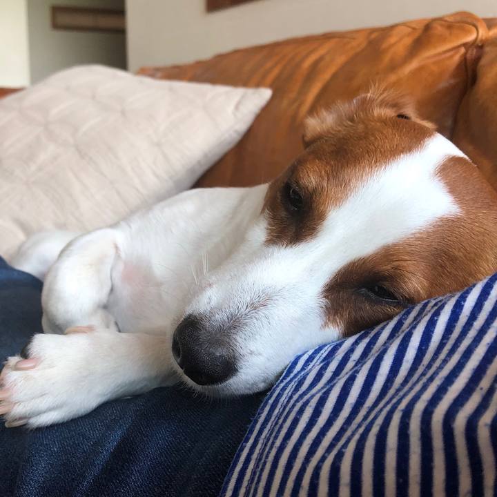 E98c9aff 3338 4d55 ae33 ca41d1b3dca4 1557912625467