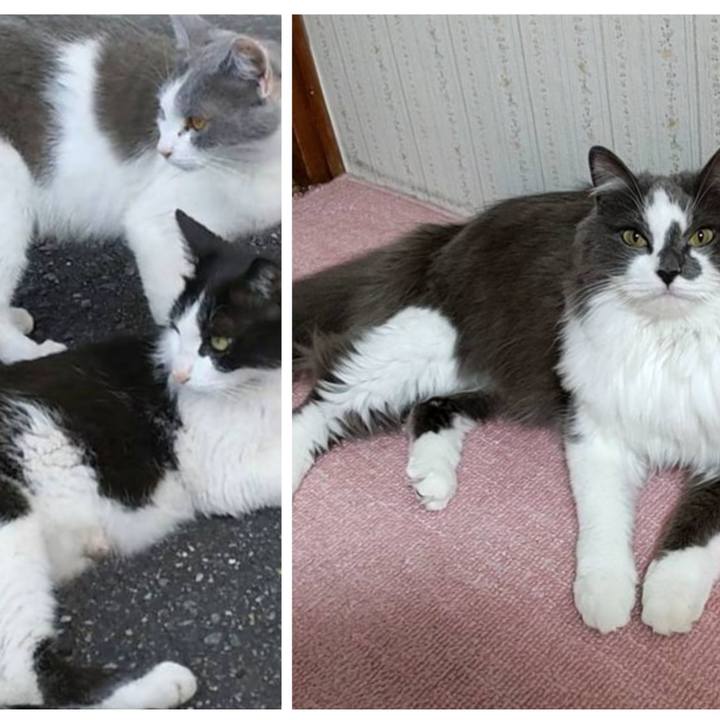 E98caf71 ee19 4946 9581 c34863197f9b 1683415532066