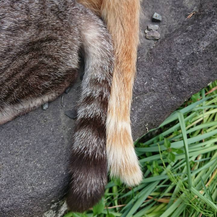 E98cb226 51ca 42e9 a5ba 8aaecfaf71ca 1559460514950