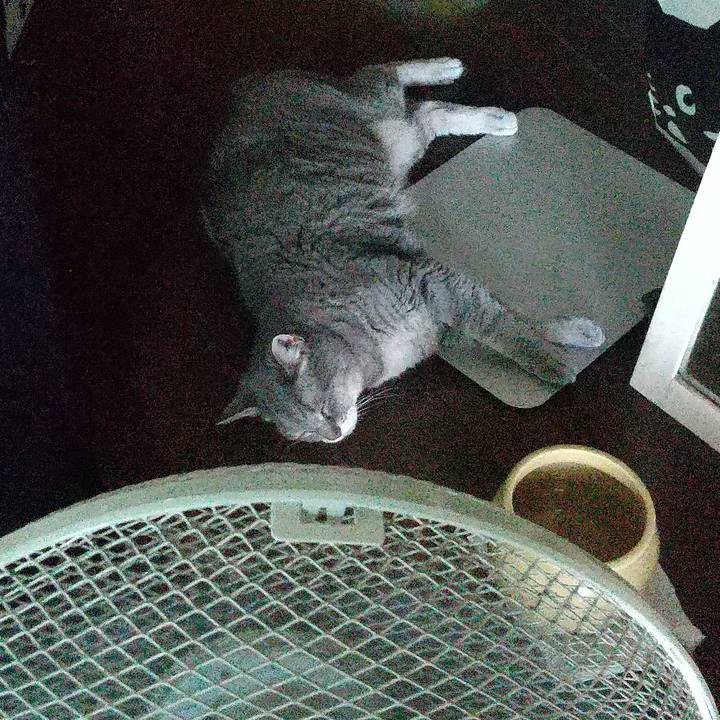 E98ce7f5 b700 462d b090 f290cb8fe2de 1660003931112