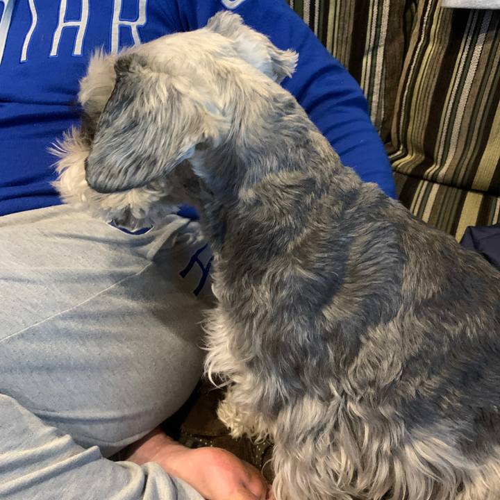 E98d0cde d336 4754 804a fc5312a81816 1641627605491