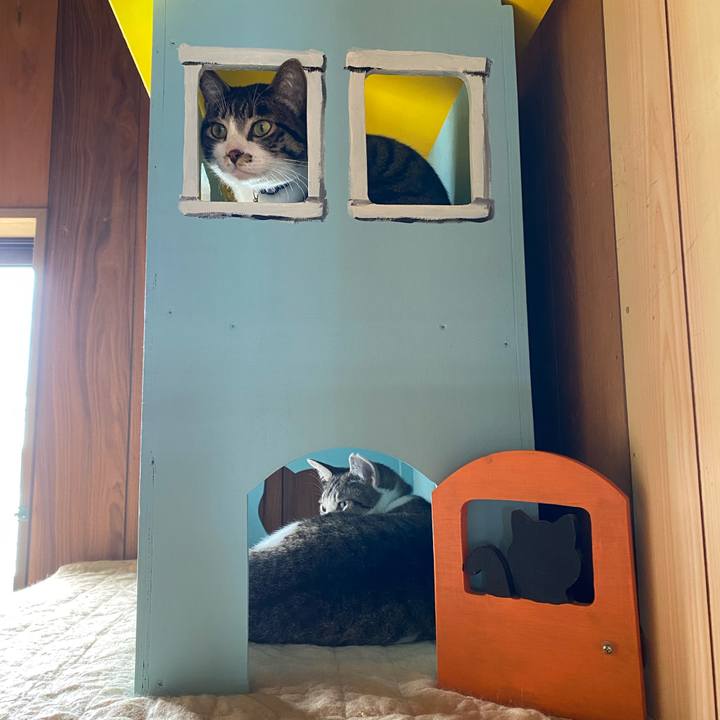 E98d4ae7 28b5 4906 8f9f a51f66196a2d 1716875612403