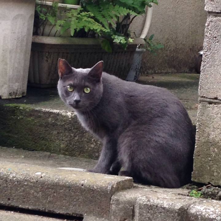 E98d5b88 d2a8 49b5 a132 0eef6478b1a0 1509810274690