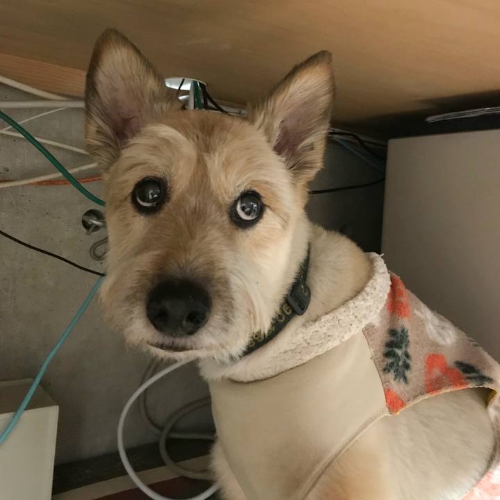 E98db4cd 9aba 4835 89b1 1d8a0523dcb9 1773233794953