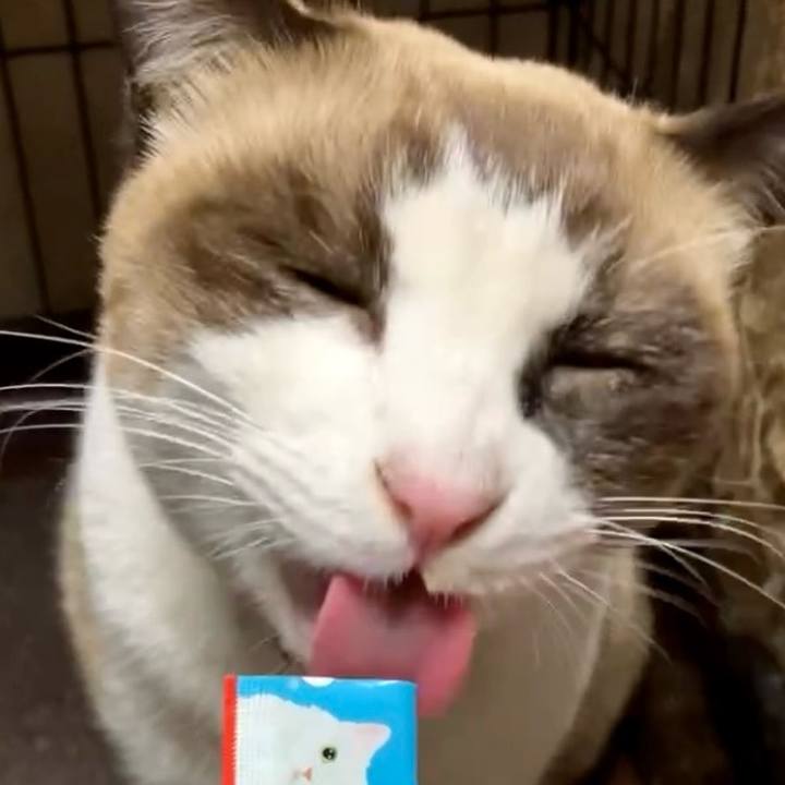 E98dc41a 2a76 4adc bcd5 9fb94a92dc60 1732268194798