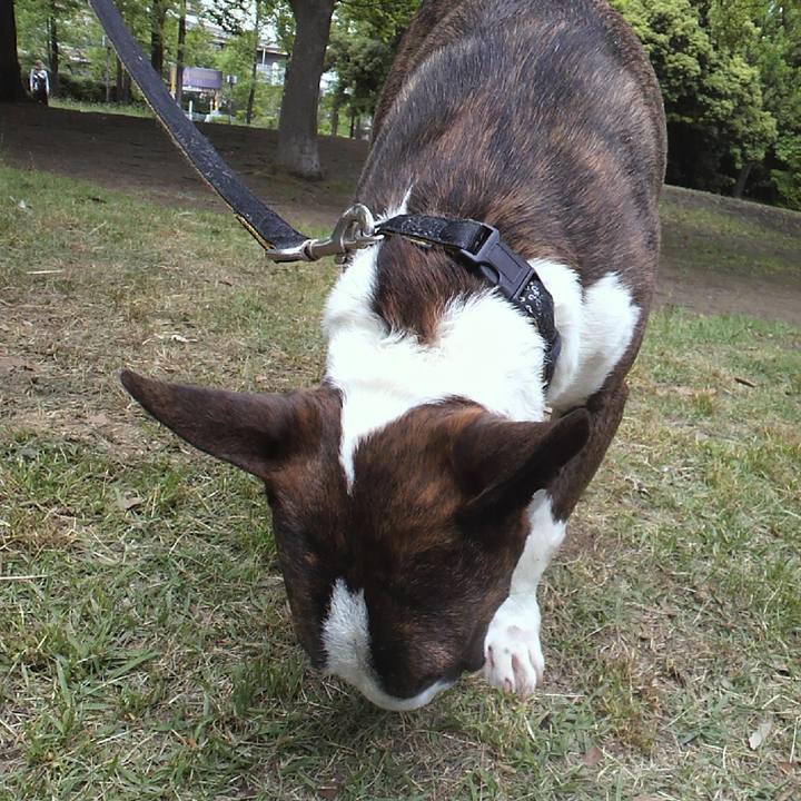 E98de4cf c85b 4dc2 8f11 e4b26ef4776c 1590726428677