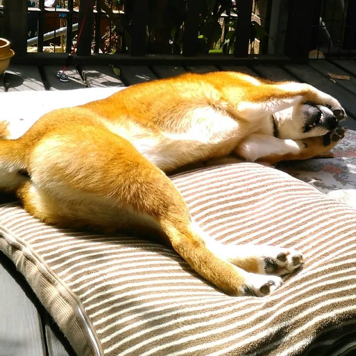 E98dedf1 924f 4344 96c3 843e5c4e2097 1522114784128