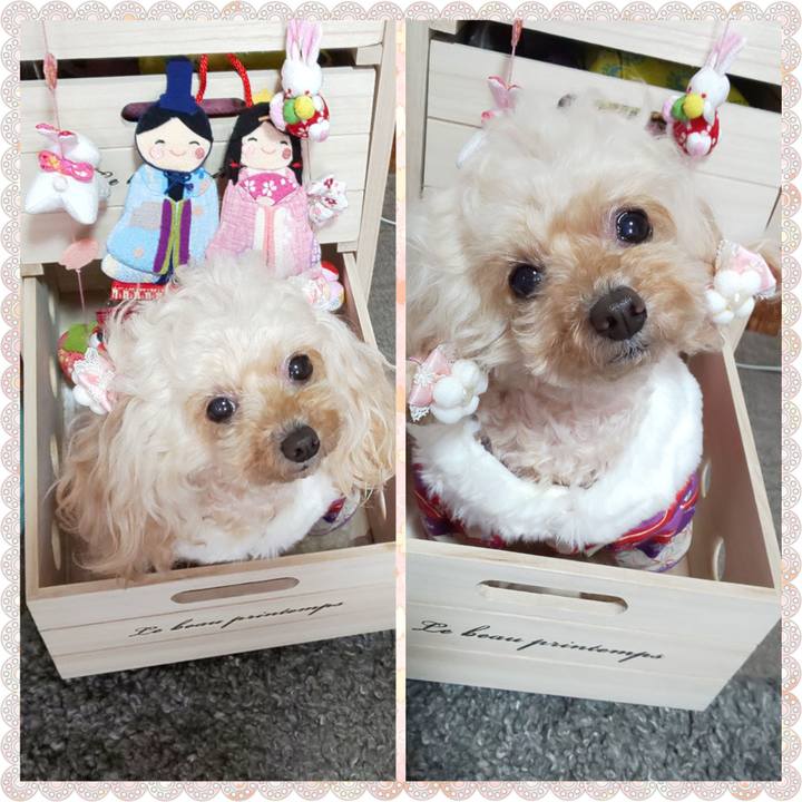 E98eaf23 625e 42fa bbb2 f3ea3a9e0a9c 1677920990847