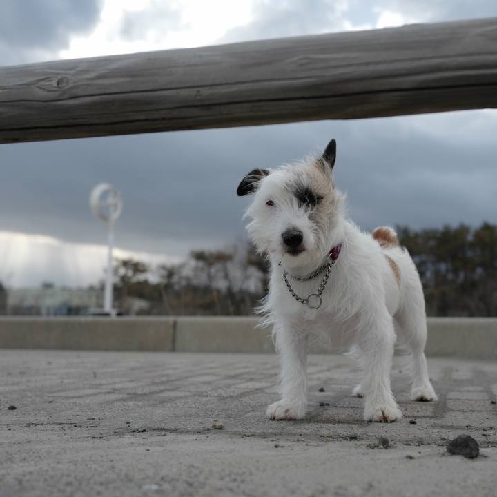 E98ecd8b 3527 4ccb bb19 399f55b9e6ac 1520828364689