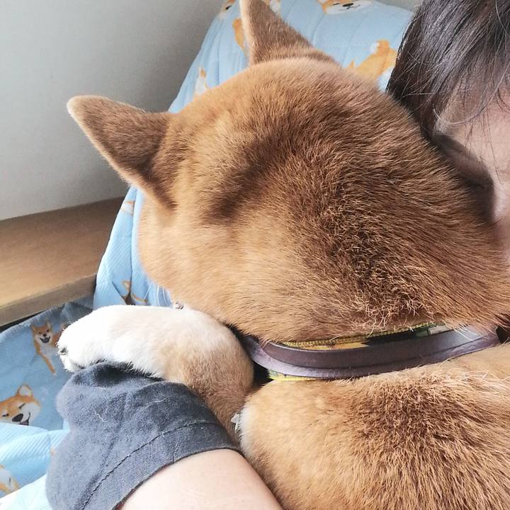 E98ed698 553b 459c 8683 81fe60a841ea 1617239825907