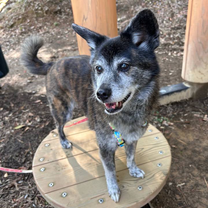 E98ed8e9 6064 421f bab6 62de65951dc1 1764284416133