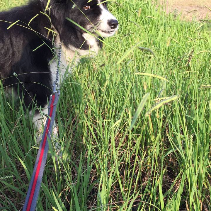 E98ef23b 7304 4eeb 8c59 19425d50fb93 1568416939644