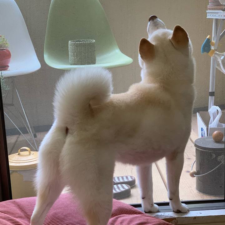 E98f1670 5077 4913 92ff 3ccfbf49d213 1622510855166