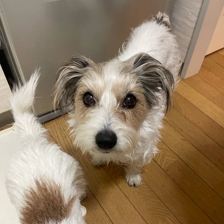 E98f2f31 ff83 4379 8936 1f668f2fd711 1770279270164