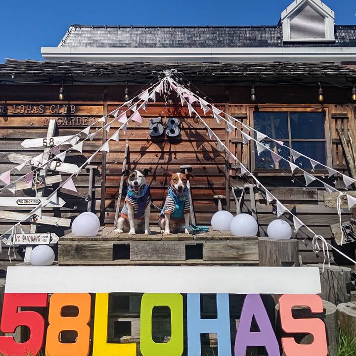 E98f72d4 27b5 4b2c a84c 846dd29c5567 1662785545408