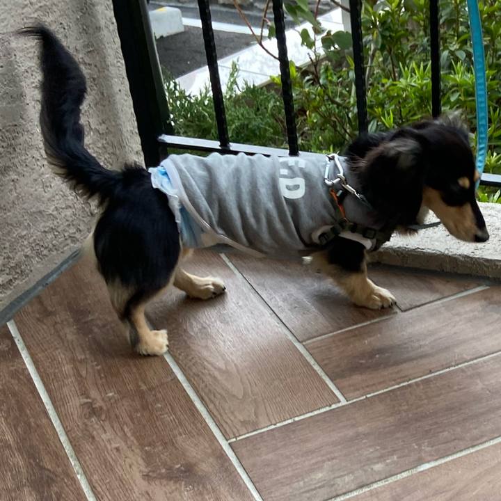 E98f74bd 04a2 4b43 a498 40795b9df710 1680433477598