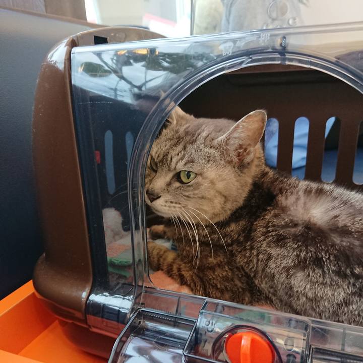 E98fa523 941f 49a7 9700 19b28b63cb8f 1594284367124