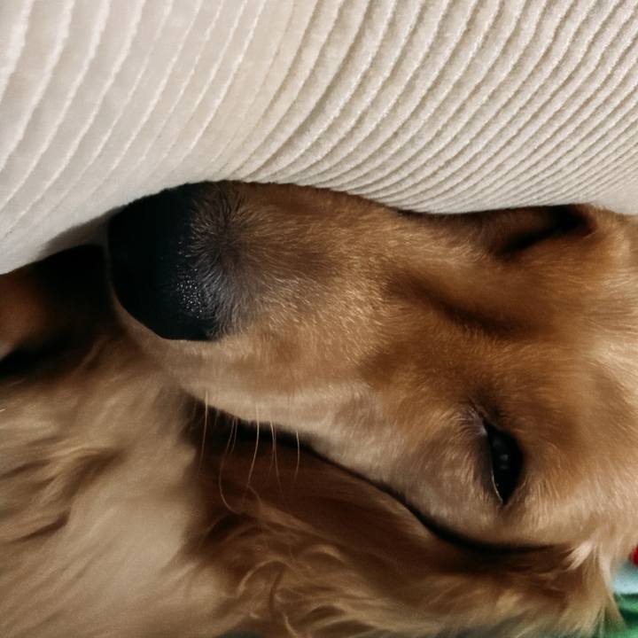 E98fa5bb 286c 4839 926e b430b3eae15f 1767531161618