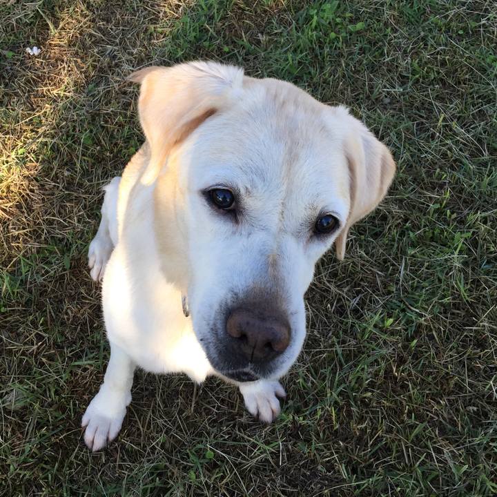 E98fac72 e87e 47b0 b236 44c78a9496cc 1547451899754