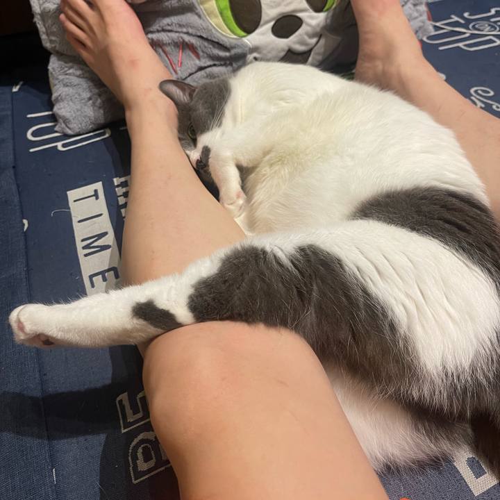 E98fbcad 3688 4061 8624 b80f627818c9 1729265616422