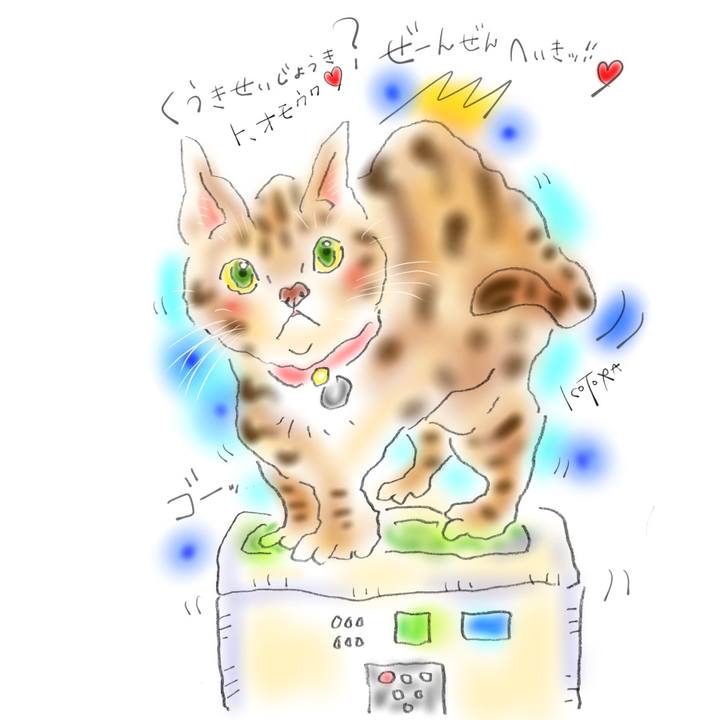 E98fc413 a9a9 49ea 9a83 4ed7c98d82a0 1615208815087