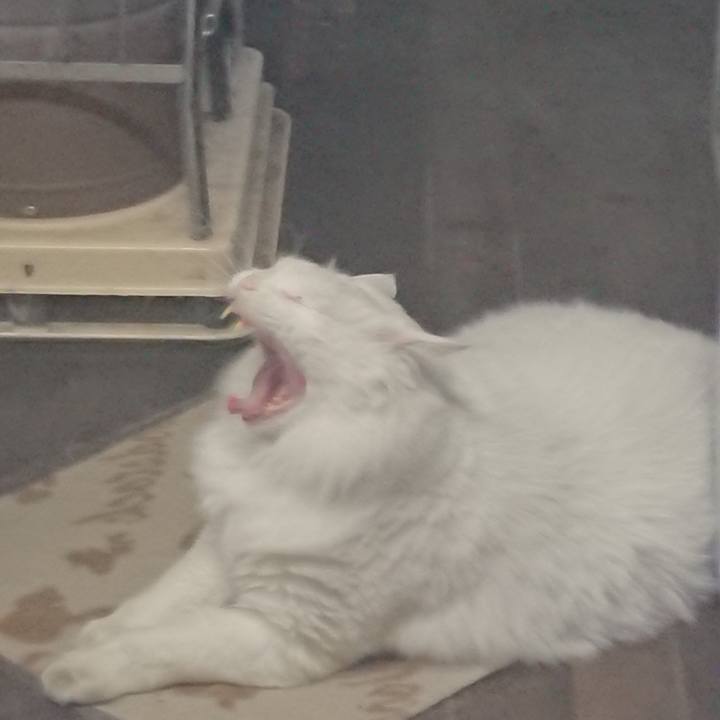 E98fd2db 76aa 4344 a398 220e3db214d9 1542752801168