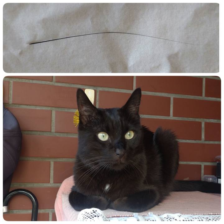 E9900f5f 3a8b 4df7 a170 835e9f2323ac 1758158707378