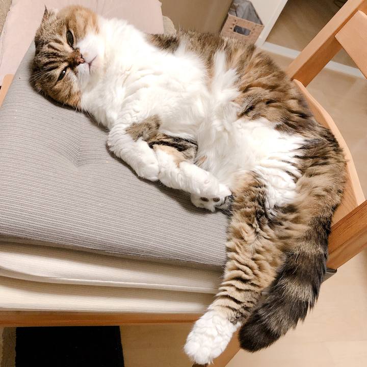 E99027ac 2536 4dc5 8eba 831b9ebd88e3 1570681402196