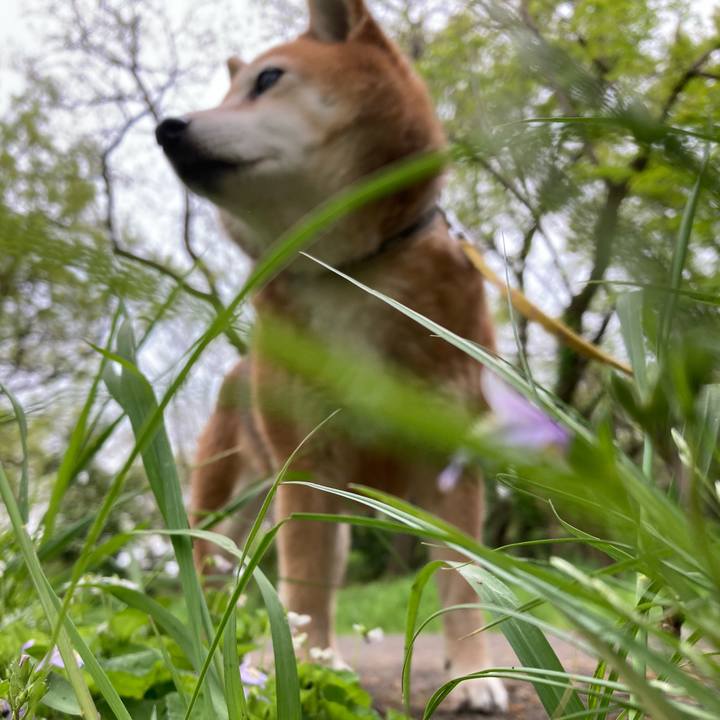 E9904118 e785 4d3a 91ce ec0bf6391879 1650252126586