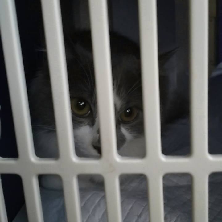 E9904e2c f833 41da a649 c3072e5c214d 1569056238685