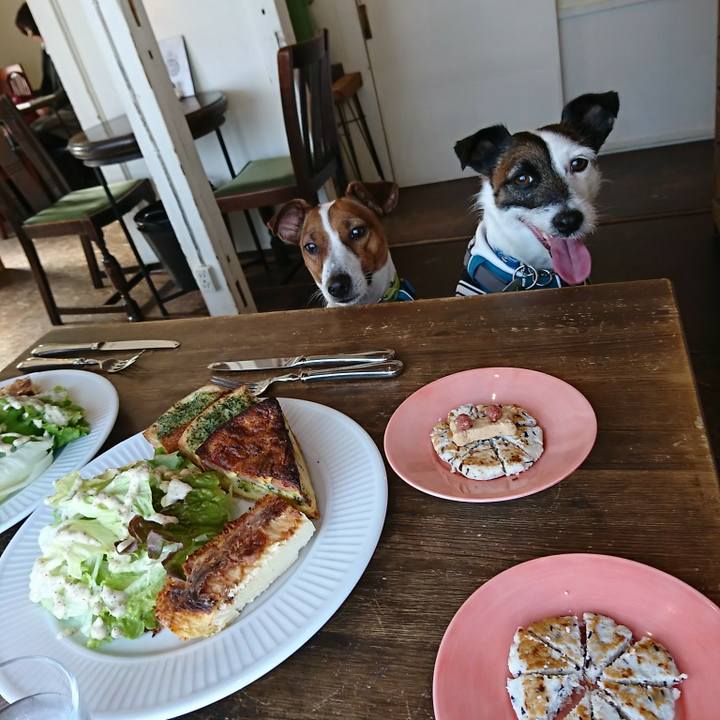 E9905005 79c0 441e 96c0 c09715246d15 1580382078061