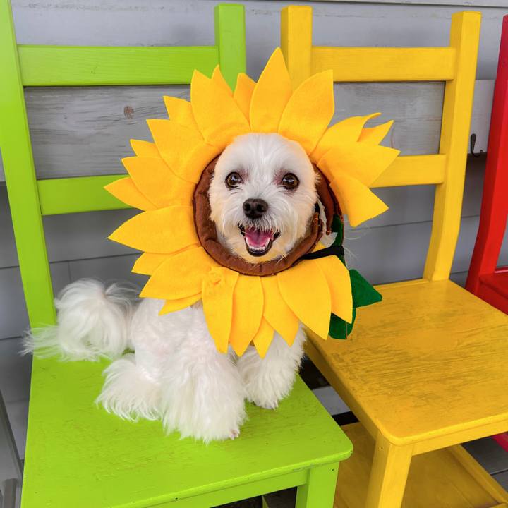 E9905159 b6e8 441b ae34 99cc11141c68 1692088532526