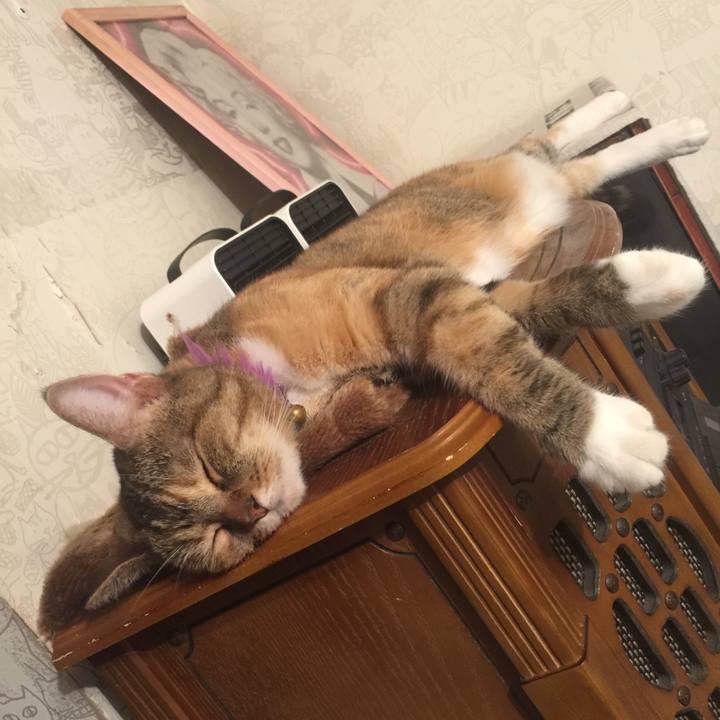 E9905bc3 4cb4 4cd8 9ce3 fdb0e39c0f33 1566149114264