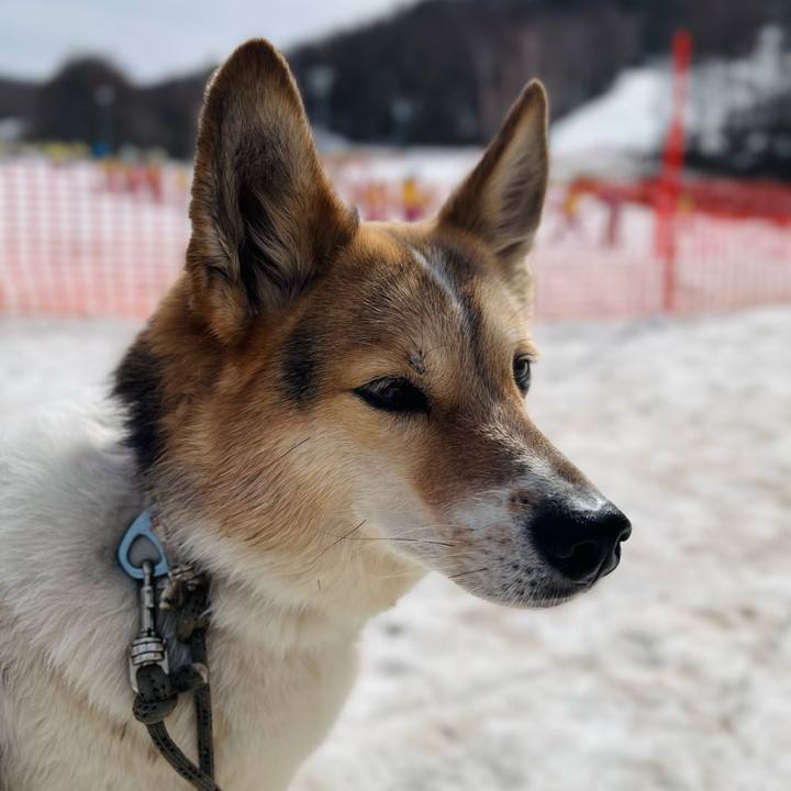 E990891c 29c1 4ccf b7d0 fa9c19b03022 1771903504738