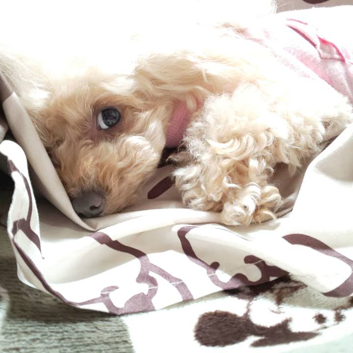 E990b02e 458a 4171 8512 6fb866d2b6bc 1574513959122