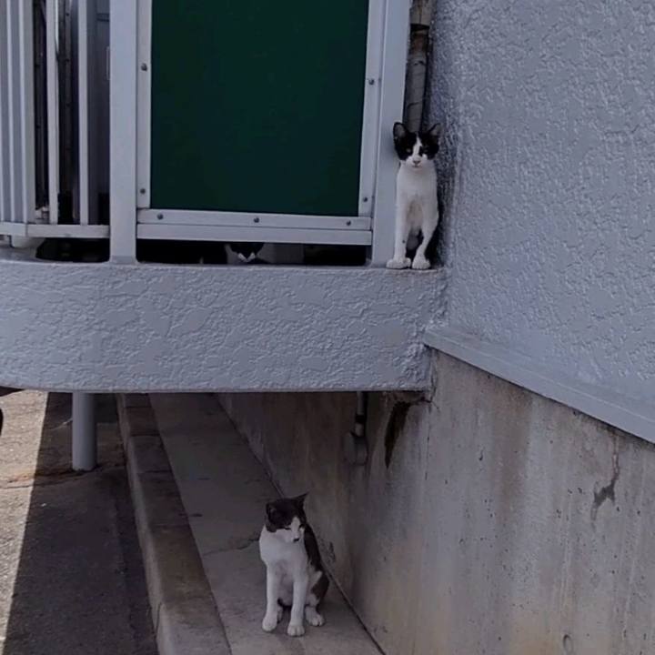 E990c92c 6ebc 401d b738 57e08e491d17 1626572476297