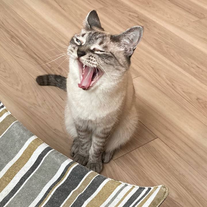 E990fc4c 639c 4fe0 9e97 41e9b8e37ef9 1689485132547