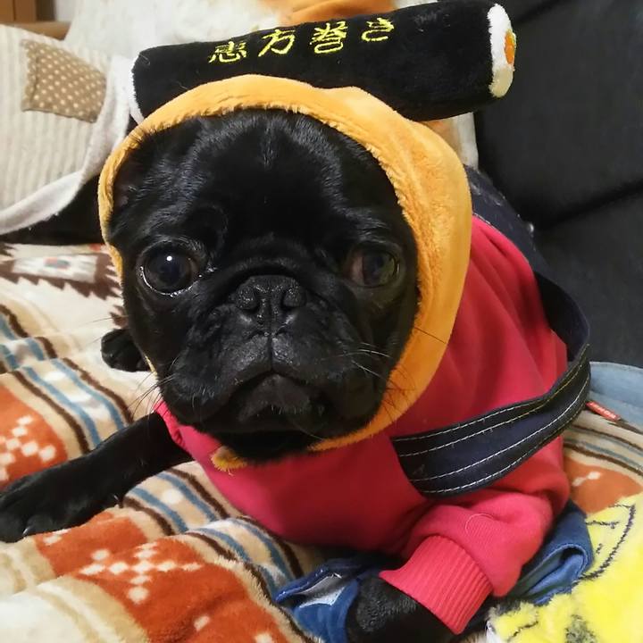 E990fdb7 4a60 441e b0b5 17b860e02eef 1549028412494