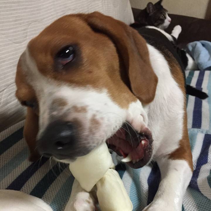 E99108e1 667d 4f50 a03c 220b96878425 1539910338150