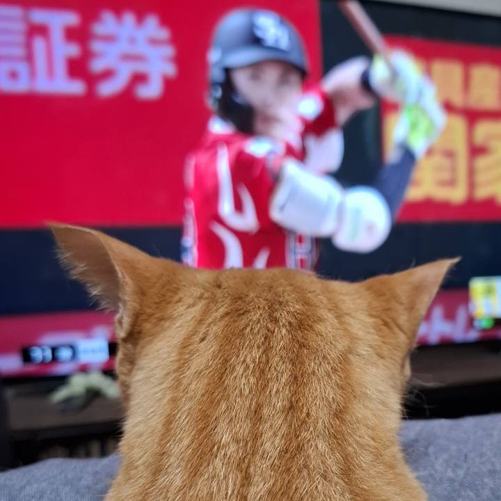 E9911202 1740 4422 b861 f1783135a4ef 1753531403760