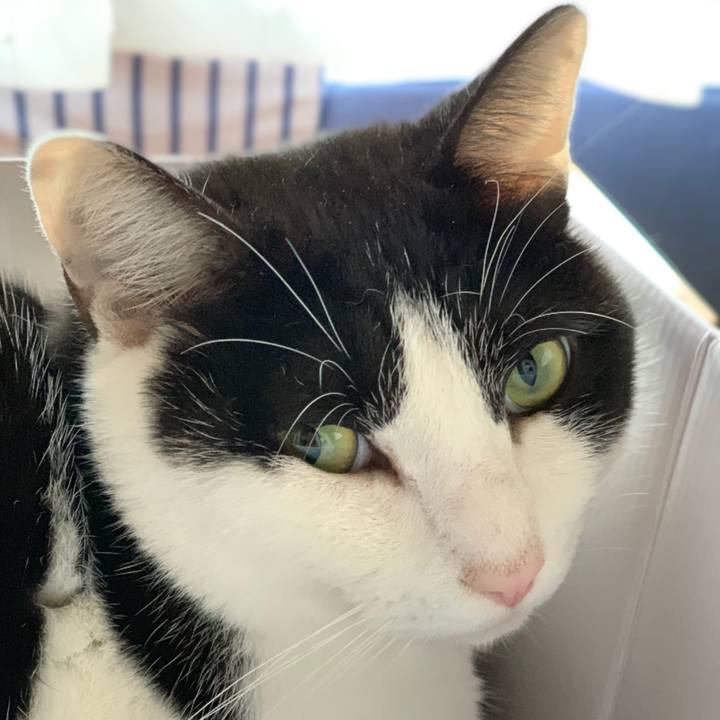 E9911c16 1f55 458e b487 c429b51b15cb 1545441767863