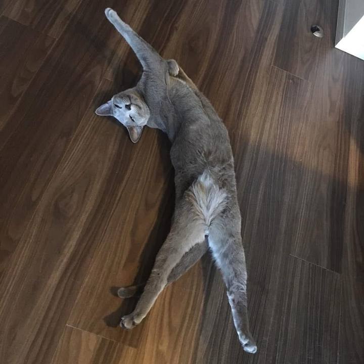 E9912fcd 2071 4280 a9e5 3afcd5b8f364 1739247149732