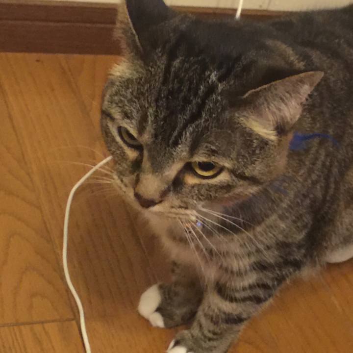 E991412d ecaa 4c05 8a62 d6c9b8837f0e 1561642678457